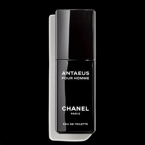 chanel antaeus 100ml best price|chanel antaeus boots.